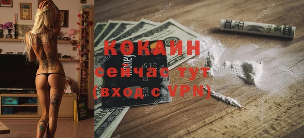 эйфоретик Пересвет