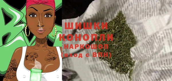 эйфоретик Пересвет