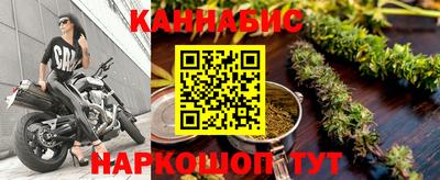бошки Гатчина