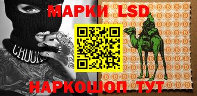 бошки Гатчина