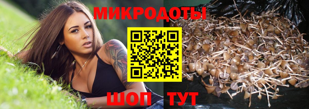 Сорочинск  даркнет сайт  Вход с VPN  Псилоцибиновые грибы Magic Shrooms 